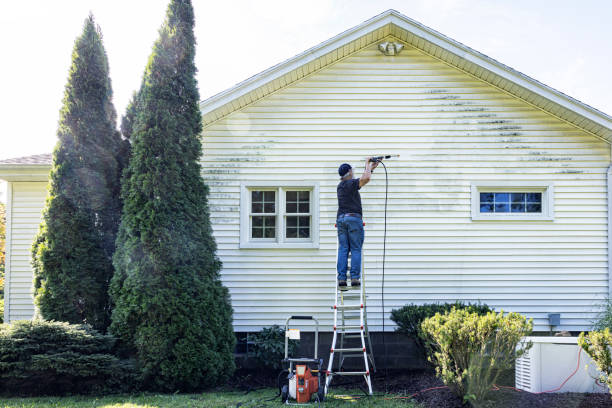 Best Exterior Home Cleaning  in Carrboro, NC